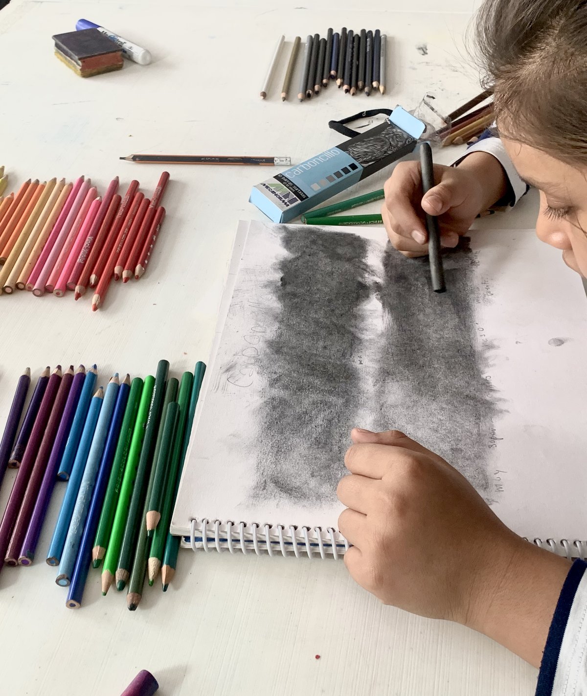 Evidencia del Curso de Verano Creativo